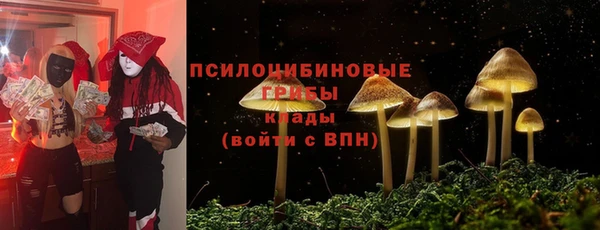 круглые Каменка
