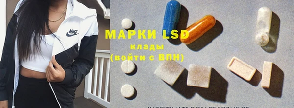 ешки Инта