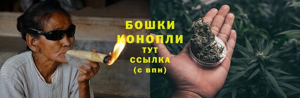 ешки Инта