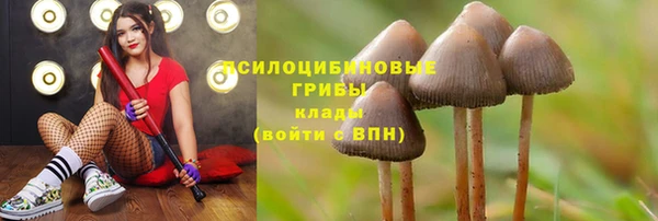 apvp Каменск-Шахтинский