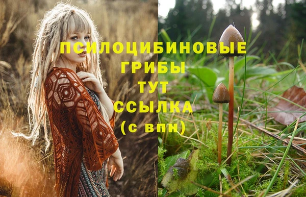 марки nbome Инсар