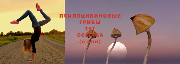 метадон Каменногорск