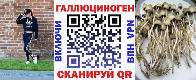 Купить закладки  Борисоглебск  Галлюциногенные грибы MAGIC MUSHROOMS 